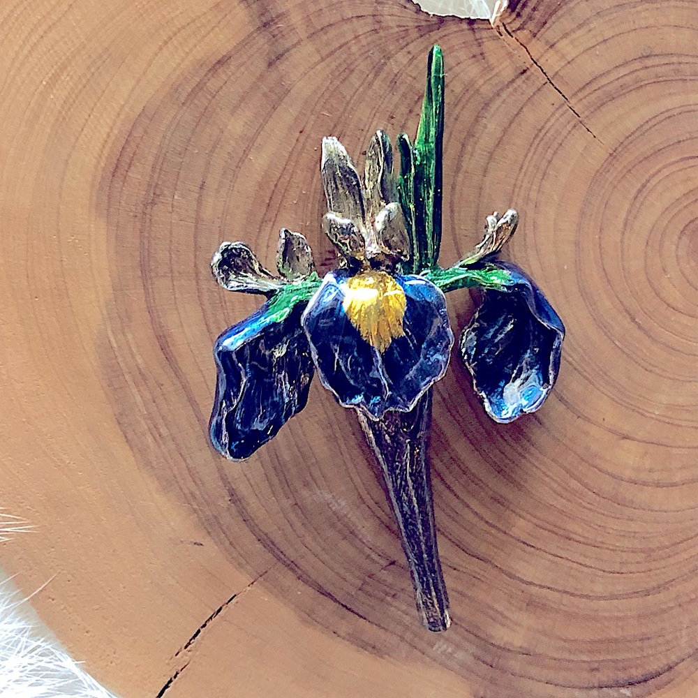 MFA Gorgeous Iris Enamel & Sterling Brooch